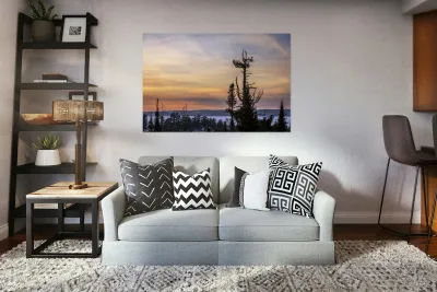 Overlooking Falcon Lake Reproduction