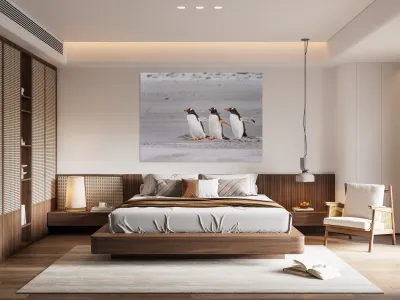 Three Gentoo penguins at Bluff Cove  running on sandy beach Reproduction