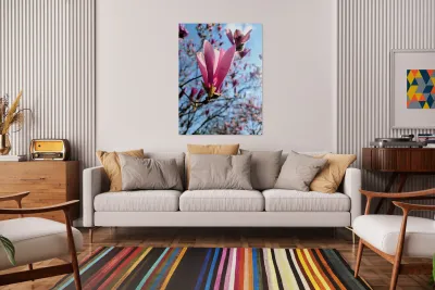 Pink Petals in Warm Light Reproduction