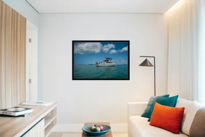 Shangri-La -3 Reproduction