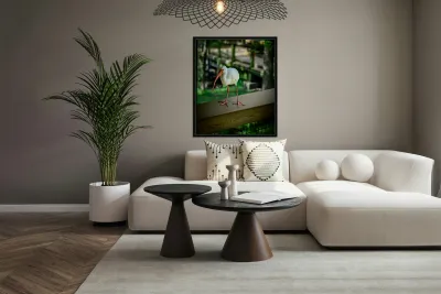 Symphony of Wings: A Birdwatchers Tale Reproduction