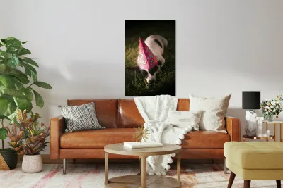 Partied out party animal Reproduction