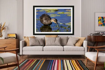 Duck Hunt Reproduction