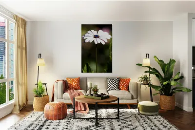 Purple Daisy Reproduction