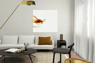 Fire Wasp Racing At Scorching Speed Reproduction