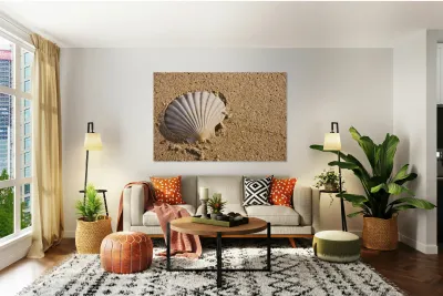 Sandy Shell Reproduction