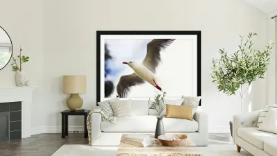 Dusk Flight Reproduction