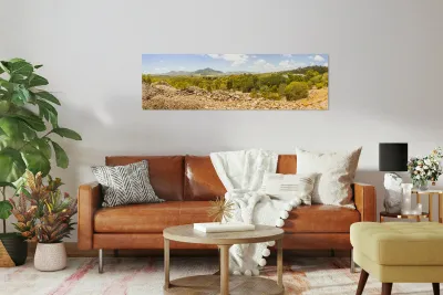 Mt Perry wide Reproduction