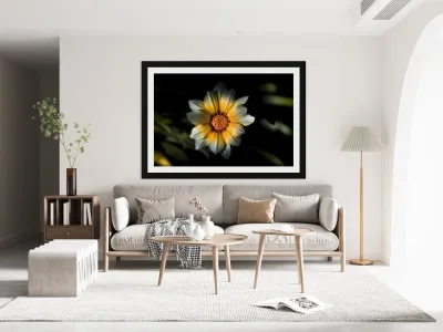 Dark Daisy Flower Reproduction