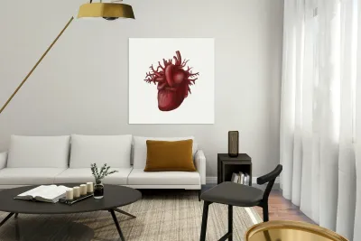 Human heart medical diagram isolated on white Reproduction