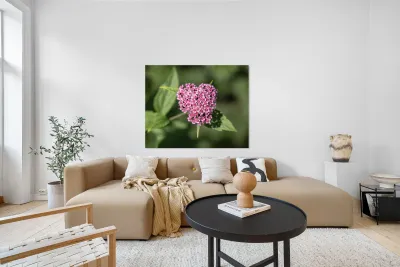 Candlelight Reproduction