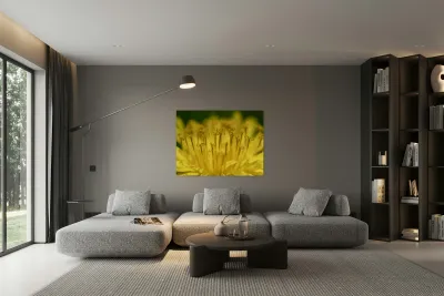 Dandelion Reproduction