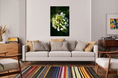 Blooming Flora Reproduction