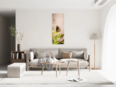 Tropical Butterfly Reproduction