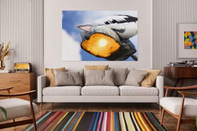 Summer Siesta Reproduction