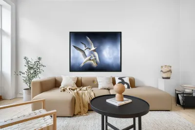 Freedom Reproduction