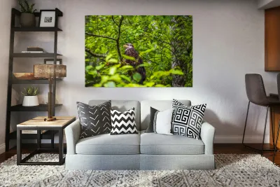 Store Alaska5L3A8248 Reproduction