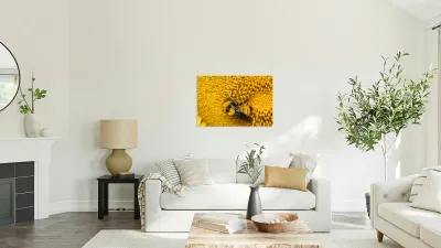 Sunflow Bee Reproduction