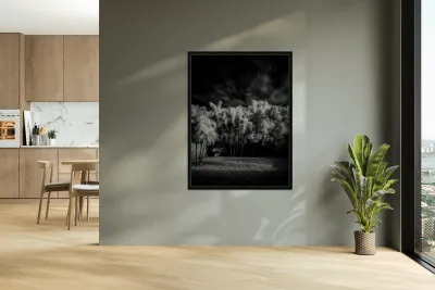 Twilight Shadows of a Palm Grove Reproduction