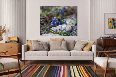 Ethereal Blossoms Reproduction