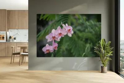 Orchid Reverie Reproduction