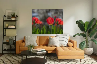 Crimson Elegance Reproduction