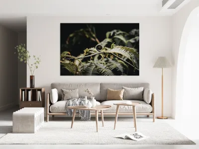 Awakening Fern Reproduction