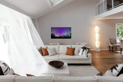 Northern Lights Above the Canopy Reproduction