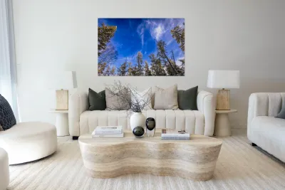 Frosted Trees Reproduction