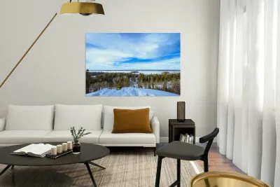 Falcon Lake View Reproduction