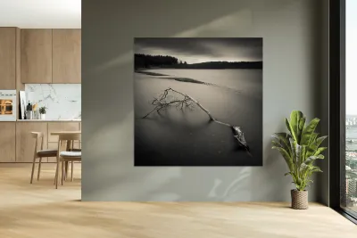 Loch Avich Branch Reproduction