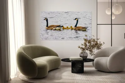 Swimming lessons Reproduction