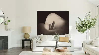 Calla Lily Reproduction