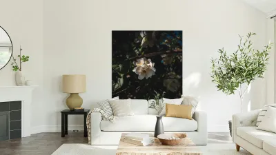 Mock Orange Reproduction