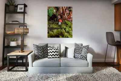 Tiny Mushroom Reproduction