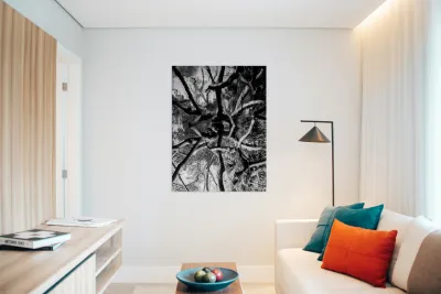 Black and White Reflection Reproduction