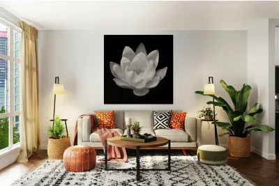 Water Lily Reproduction