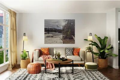 Snowy Colorado Reproduction