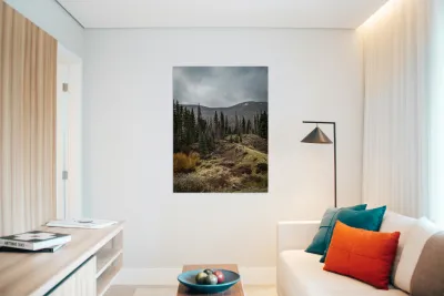 Moody Colorado Reproduction