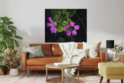 Flowers  and bee Reproduction