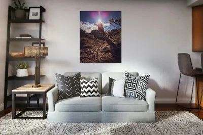 Lens Flare Cactus Reproduction