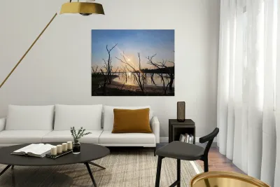 Texas Reflections Reproduction