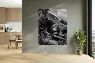 Wheres Waldo  Reproduction