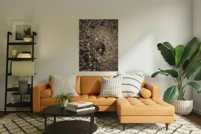 Before the wave Reproduction