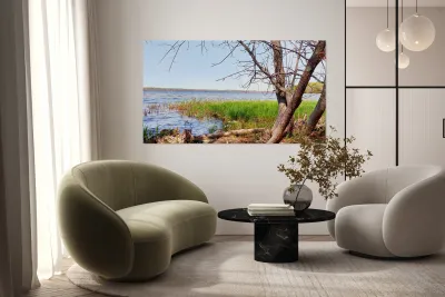 Boat Lake Reproduction