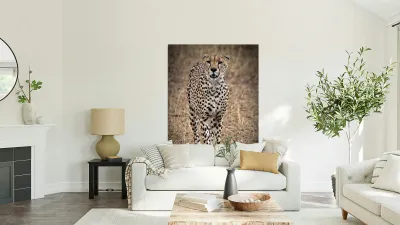 Cheetah Walk Reproduction