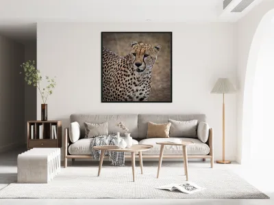Cheetah Portrait Reproduction