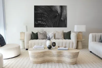 Wisdom in the Wrinkles Reproduction