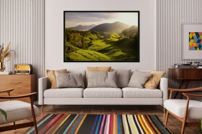 Tea Plantation Sunrise Reproduction