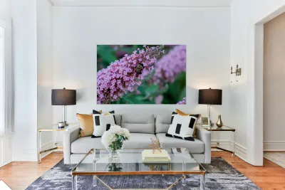 Sustaining Grace:  The Bee and the Butterfly Bush Reproduction